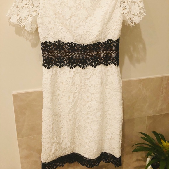 Anthropologie Shani Dress Lace Black & White - Picture 2 of 4